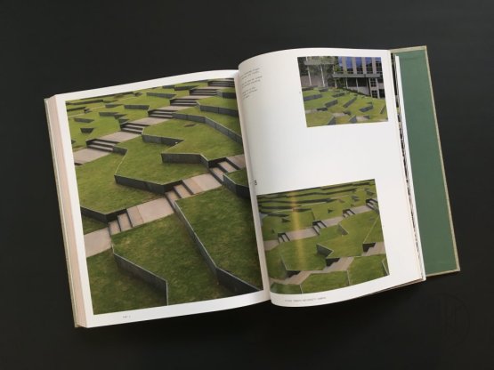 The Modern Japanese Garden