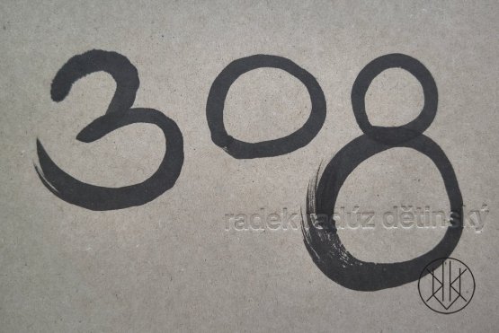 Radek Dětinský: 308