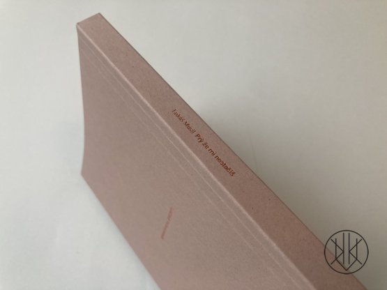 Lukáš Musil: Prý že mi nestačíš