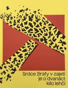 Srdce žirafy v zajetí je o dvanáct kilo lehčí