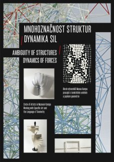 Ambiguity of structures. Dynamics of Forces. (Exhibition catalogue)