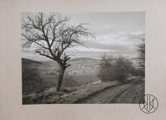 Jan Reich: Cesta do Počepic, 1983