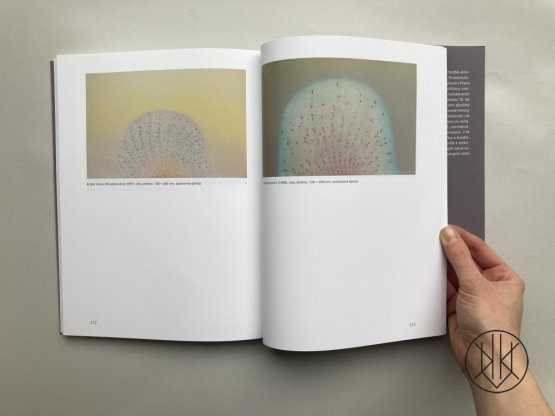 Růst a světlo tvarů / Aspekty díla Miloše Ševčíka