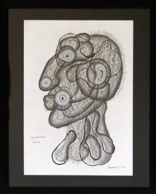 Jan Švankmajer - Arcimboldeskní hlava