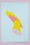 Petr Nikl: The Parrot