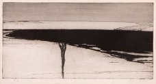 Ladislav Čepelák, Pole, 1974