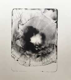 Petr Nikl: The Wind 1
