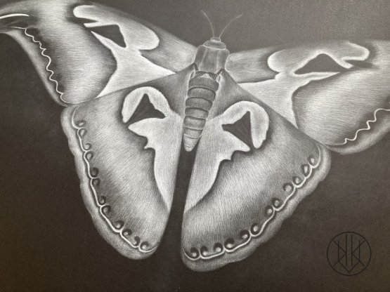 Petr Nikl: Hadí motýl