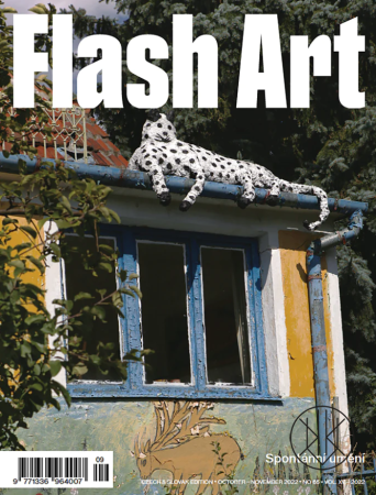 FLASH ART #65
