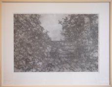 Alena Kučerová: Lesní cesta (A Forest Road)