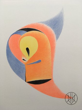 Petr Nikl: The Parrot with an yellow eye
