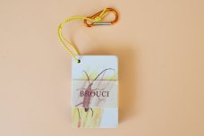 Brouci Kapesní atlas