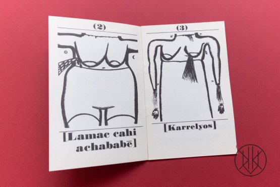 Jiří Šalamoun: Bagabi Laca