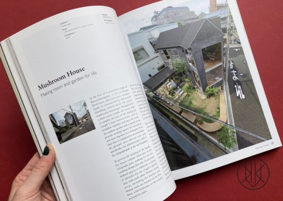 Intimate Beauty of a Japanese Courtyard