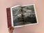 Sebastião Salgado: Genesis