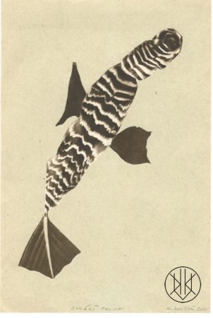 Michaela Kukovičová: Domácí Fauna I