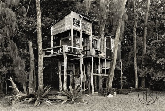 John Wehrheim: Diane´s House