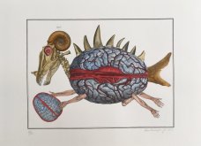 Jan Švankmajer: Bilderlexikon - zoologie 8