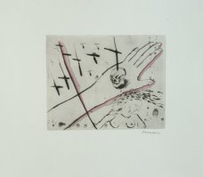 David Cajthaml - Karel Jaromír Erben, Svatební košile