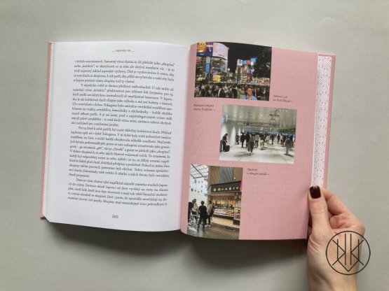 Japonský rok: Stručný průvodce japonskou historií a kulturou