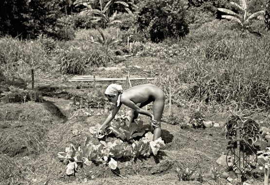 John Wehrheim: Debi in the Garden