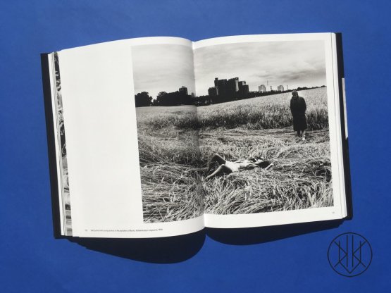 Helmut Newton: Berlin, Berlin