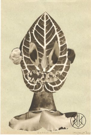Michaela Kukovičová: Domácí Fauna VI