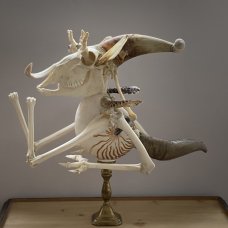 Jan Švankmajer: Zvíře Kašpar