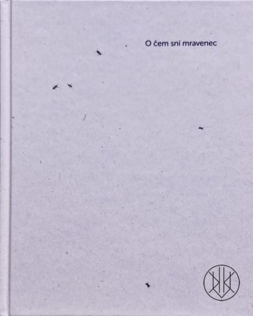 O čem sní mravenec
