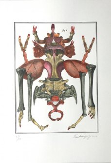 Jan Švankmajer: Bilderlexikon - Hexapoda 10