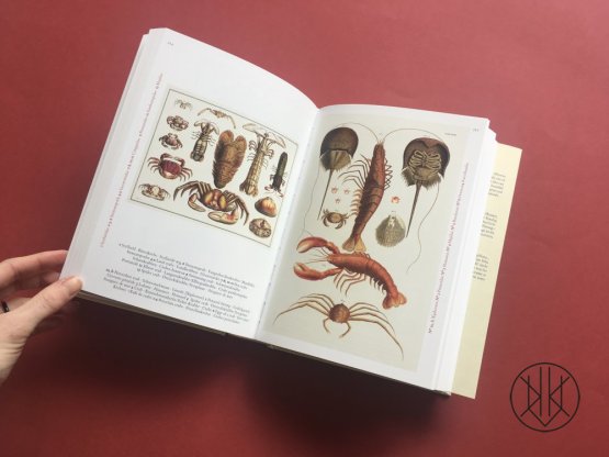 Cabinet of Natural Curiosities