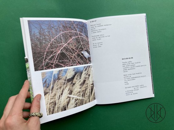 Atlas křoví