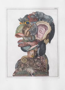 Jan Švankmajer: Arcimboldeskní hlava (tab. 1)