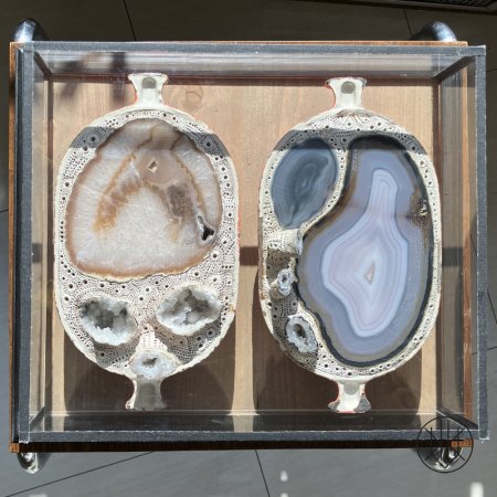 Jan Švankmajer: Zmineralizované zátiší 4