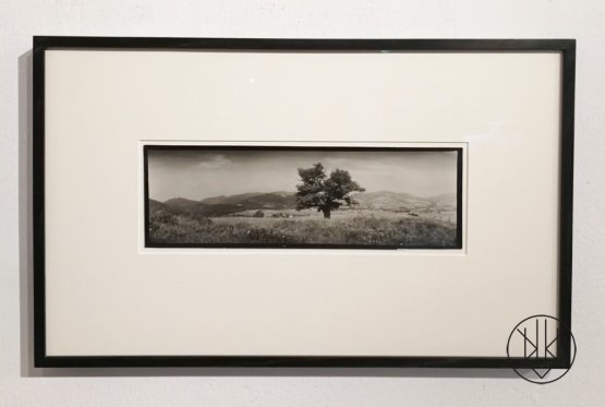 Josef Sudek - Palkovské Hůrky (Hukvaldy)