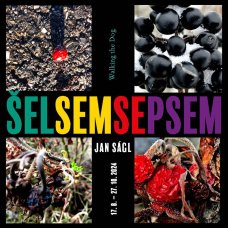 Jan Ságl: Šel sem se psem