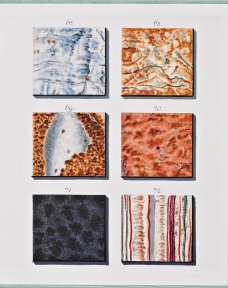 The Book of Marble - Marmora