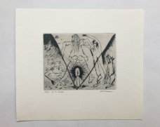 David Cajthaml - Karel Jaromír Erben, Svatební košile