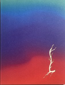 Martin Salajka: Nebula