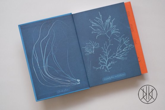 Anna Atkins: Cyanotypes