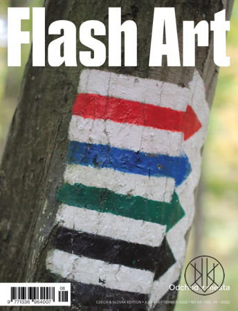 FLASH ART #64