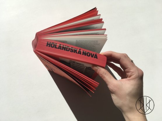 Holandská nová architektura, typografie, fotografie