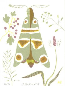 Alžběta Skálová: Můra, bílá, 2016
