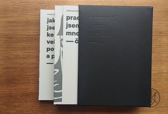 Pracoval jsem mnoho IV. díl: grafika