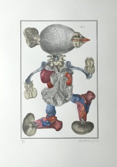Jan Švankmajer: Bilderlexikon - Nesoustavná anatomie 3