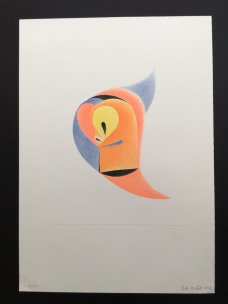 Petr Nikl: The Parrot with an yellow eye