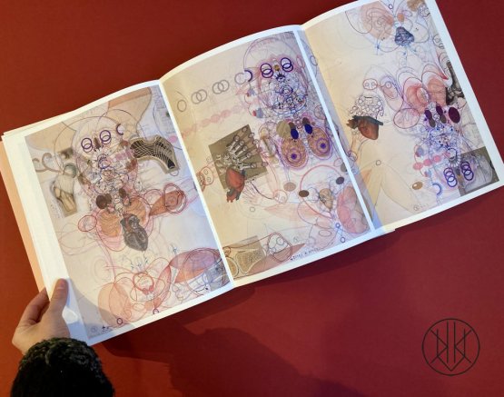 Sbírkový set: Sběratelský duet Luboše Plného