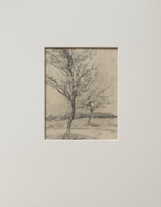 Jan Autengruber: Trees in bloom