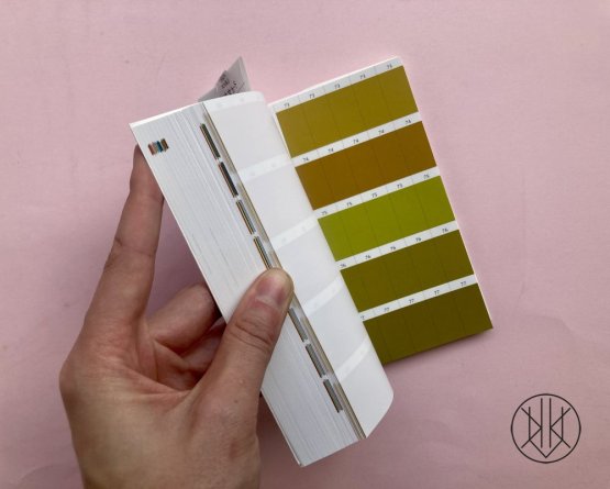 Dictionary of Color Combinations Vol. 2