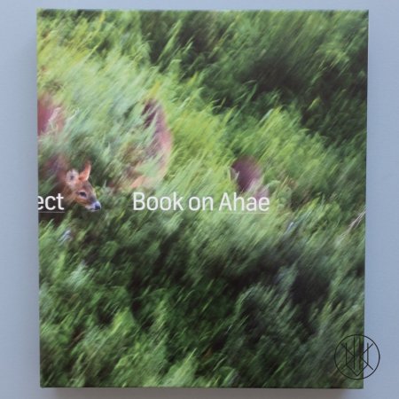 Book on Ahae. So Simple, so Beautiful, so Perfect